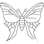 Dibujo para colorear Dibujo De Una Mariposa Para Pintar Y Colorear