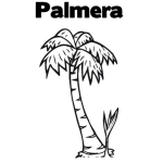 Dibujo para colorear Colorear Palmera