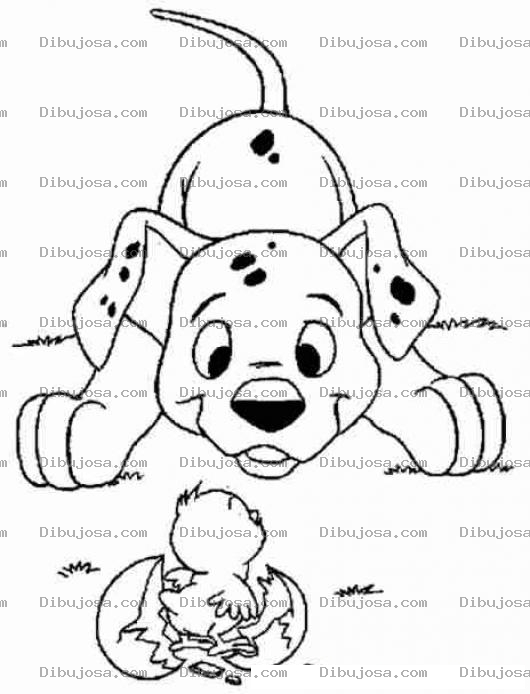 Dibujo para colorear Dibujo De Un Perro Dalmata Y Un Pollito Para Pintar Y Colorear