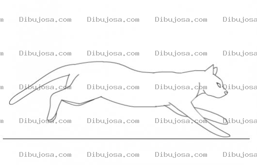 Dibujo para colorear Dibujo De Gato Corriendo Para Pintar Y Colorear