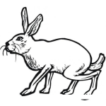 Dibujo para colorear Colorear Conejo Caminando Sigilosamente