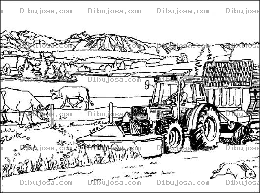 Dibujo para colorear Dibujo De Tractor En Finca Para Pintar Y Colorear
