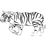 Dibujo para colorear Dibujo De Un Tigre De Rayas Negras Para Pintar Y Colorear