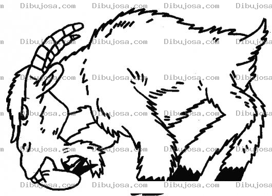 Dibujo para colorear Cabra Enojada Para Pintar Y Colorear Cabro Encabronado
