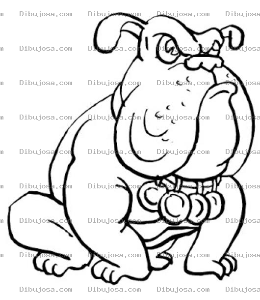 Dibujo para colorear Dibujo De Perro Bull Dog Campeon Con Medallas Para Pintar Y Colorear