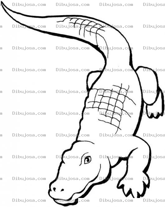 Dibujo para colorear Colorear Lagarto Cocodrilo