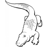 Dibujo para colorear Colorear Lagarto Cocodrilo