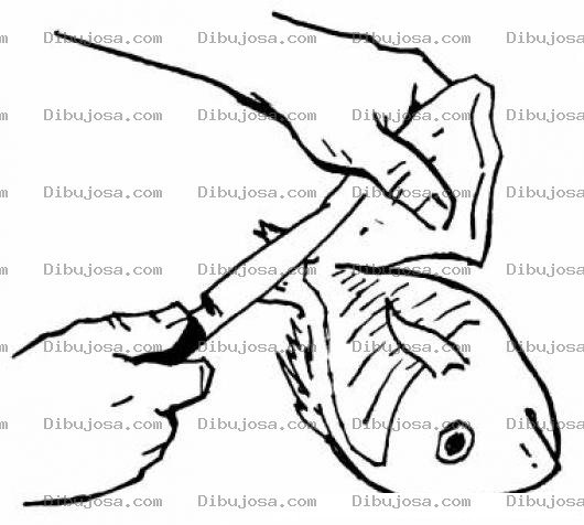 Dibujo para colorear Como Fileterar Un Pescado
