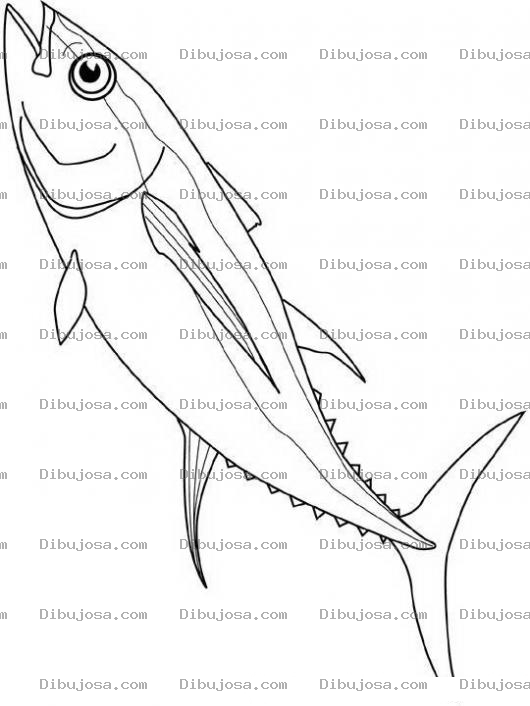 Dibujo para colorear Dibujo De Un Atun Para Pintar Y Colorear Una Tuna