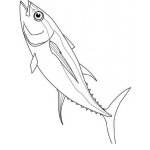 Dibujo para colorear Dibujo De Un Atun Para Pintar Y Colorear Una Tuna