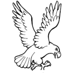 Dibujo para colorear Dibujo De Aguila Con Garras Extendidas Para Pintar Y Colorear