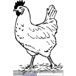 Dibujo para colorear Dibujo De La Gallina Que Cruzo El Camino Para Pintar Y Colorear