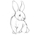 Dibujo para colorear Dibujo De Conejo Timido Para Pintar Y Colorear