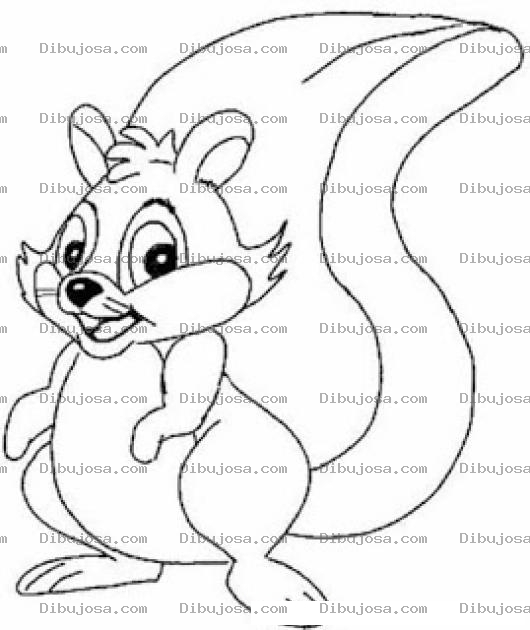 Dibujo para colorear Dibujo De Una Ardillita Para Pintar Y Colorear