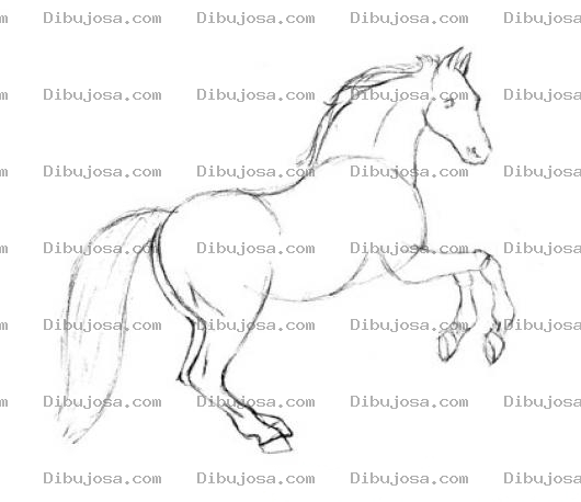 Dibujo para colorear Dibujo De Caballo Para Colorear