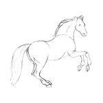Dibujo para colorear Dibujo De Caballo Para Colorear