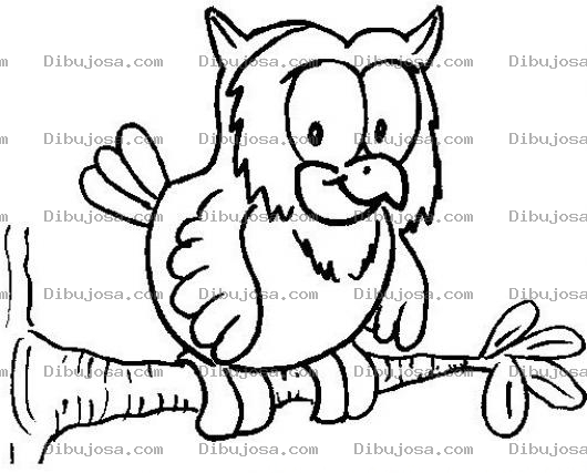 Dibujo para colorear Clorear Buho Sobre Rama