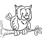 Dibujo para colorear Clorear Buho Sobre Rama