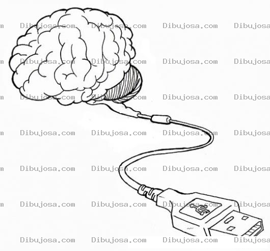 Dibujo para colorear Dibujo De Cerebro Usb Para Pintar Y Colorear Cerebrousb