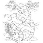 Dibujo para colorear Dibujo De Culebras En El Desierto Para Colorear