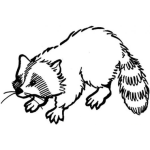 Dibujo para colorear Mapache Para Colorear Y Pintar