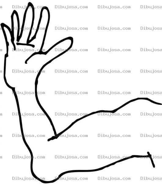 Dibujo para colorear Colorear Brazo De Atleta