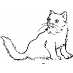 Dibujo para colorear Gato Peludo Para Colorear
