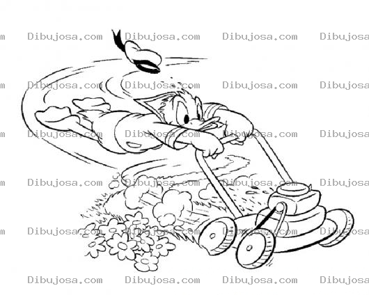 Dibujo para colorear Colorear Pato Donald De Disney Con Podadora Veloz