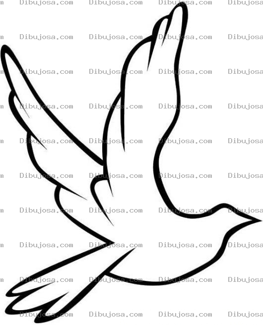 Dibujo para colorear Colorear Paloma