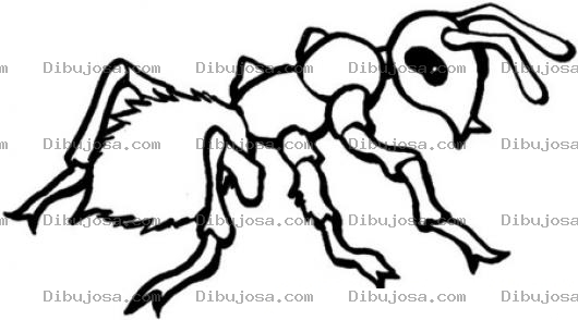 Dibujo para colorear Colorear Hormiga Roja