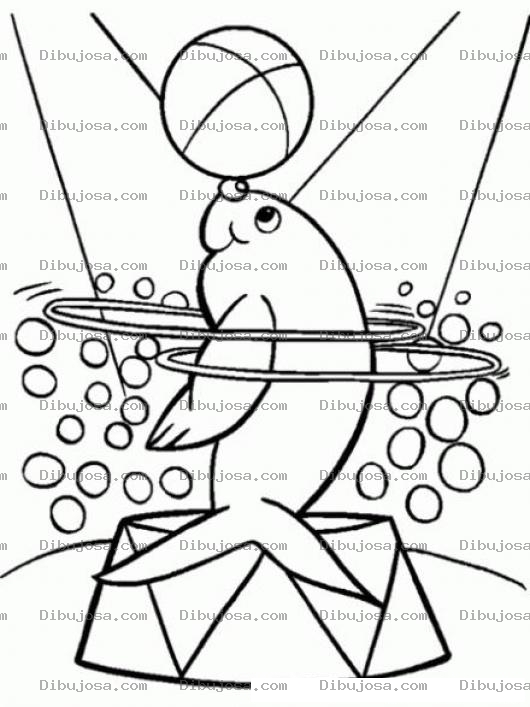 Dibujo para colorear Colorear Foca En El Circo Para Colorear