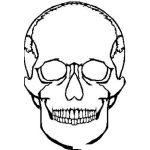 Dibujo para colorear Colorear Craneo