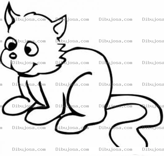Dibujo para colorear Colorear Gatio Dibujo De Gatito Para Pintar