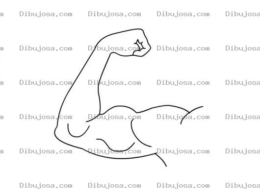 Dibujo para colorear Colorear Bicep Gigante