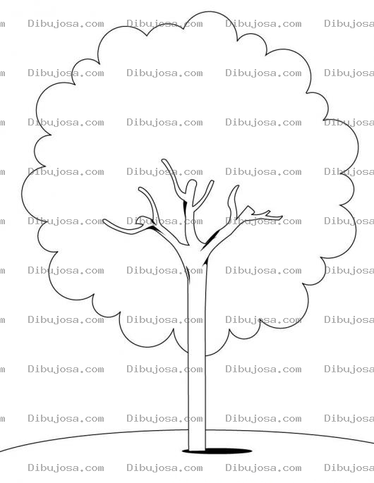 Dibujo para colorear Colorear Arbolito