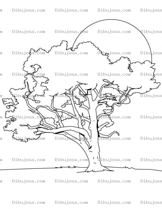 Dibujo para colorear Colorear Arbol En Lindo Atardecer