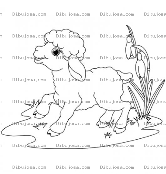 Dibujo para colorear Colorear Ovejita Corderito