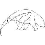 Dibujo para colorear Colorear Oso Hormiguero