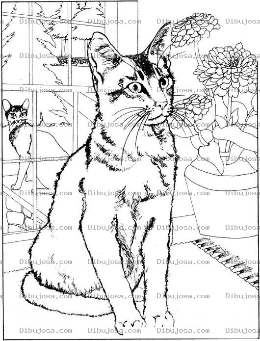 Dibujo para colorear Colorear Gato En Ventana