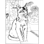 Dibujo para colorear Colorear Gato En Ventana