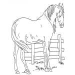 Dibujo para colorear Colorear Caballo Frenta A Un Cerco