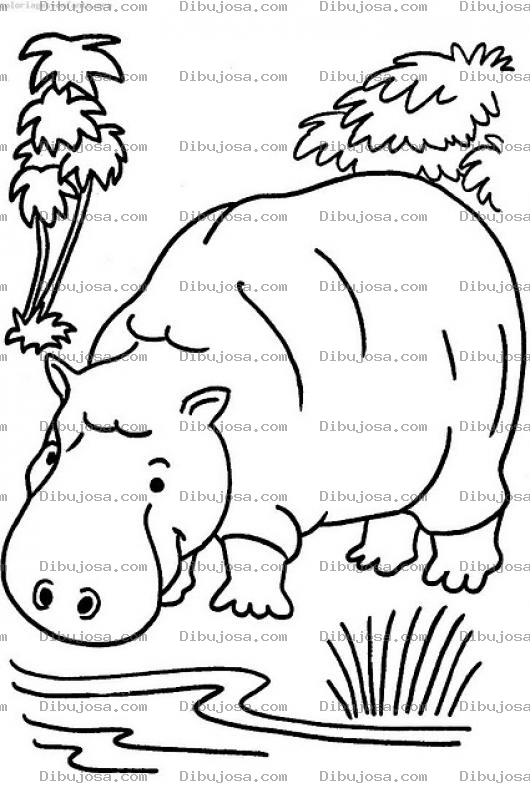 Dibujo para colorear Colorear Hipopotamo Bebiendo Agua