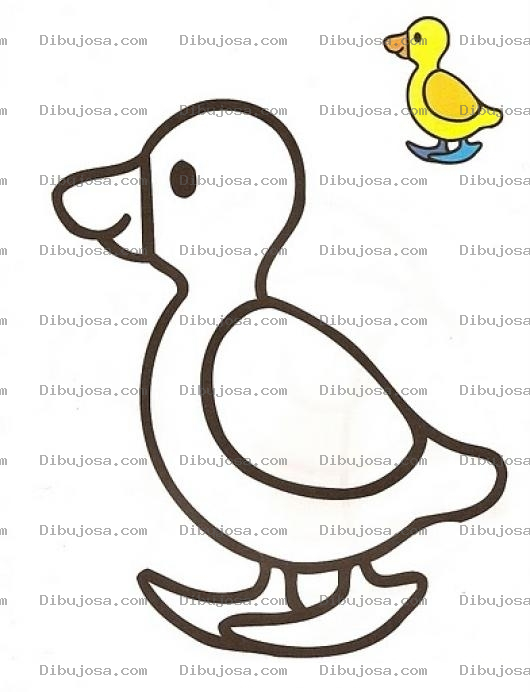 Dibujo para colorear Colorear patito con muestra