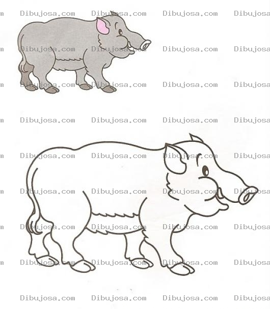 Dibujo para colorear Colorear jabali con muestra