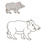 Dibujo para colorear Colorear jabali con muestra