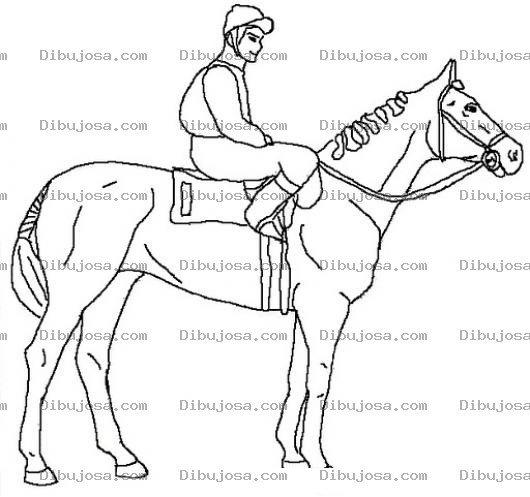 Dibujo para colorear Colorear Caballo De Equitacion
