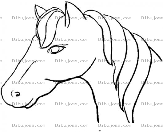 Dibujo para colorear Colorear Cabeza De Caballo