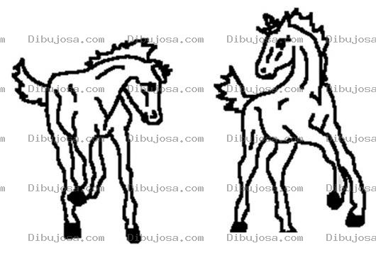 Dibujo para colorear Colorear Potrillos