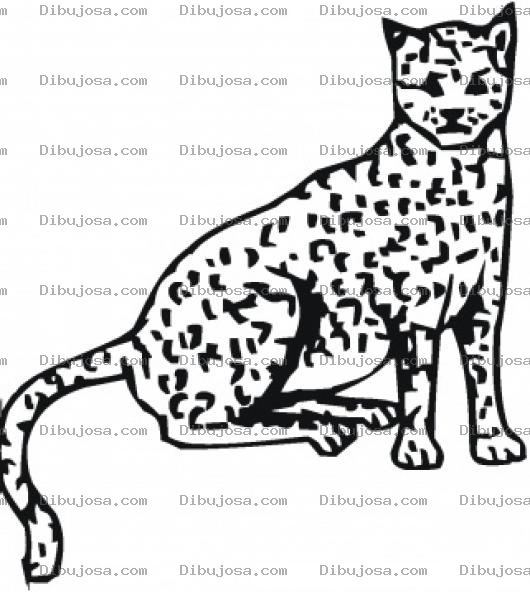 Dibujo para colorear Colorear Leopardo