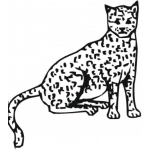 Dibujo para colorear Colorear Leopardo